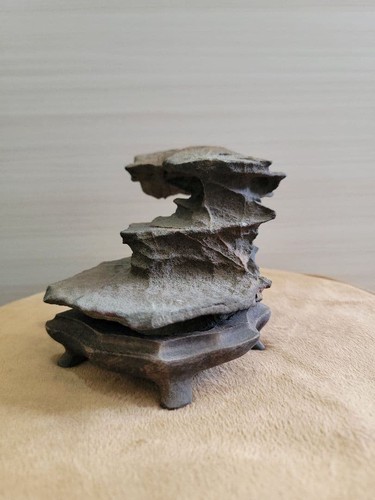 Suiseki bonseki bonsai - suiseki,