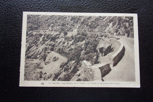 Algerie carte postale blida - algerie,