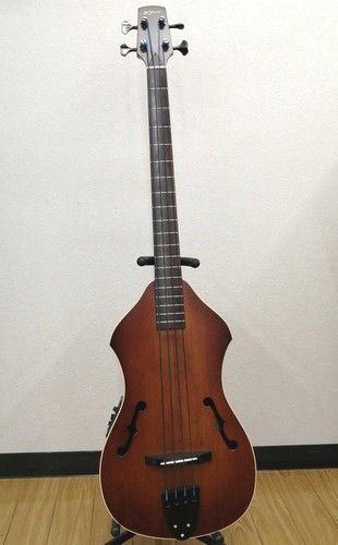 Guitare basse acoustique