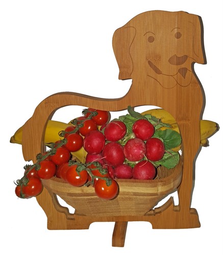 Chien dog coquille - chien,