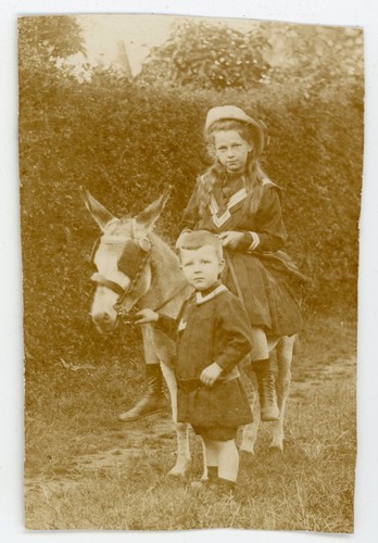 Carte photo donkey costume - photo,,