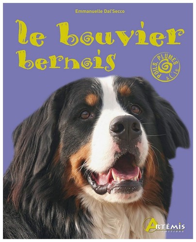 Bouvier bernois - bouvier,