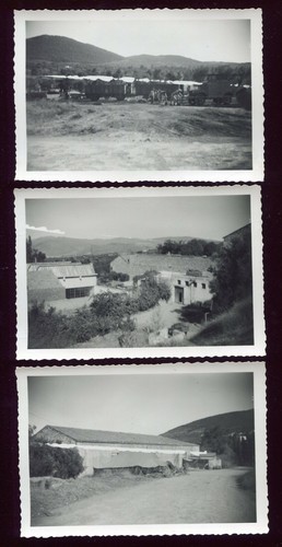 Photos algérie tlemcen - 3,
