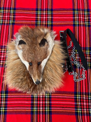 Homme écossais fox - fox, visage