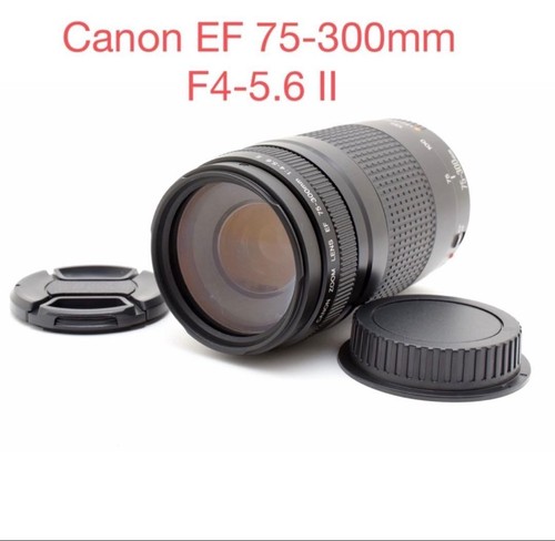 Objectif zoom canon - objectif, ef