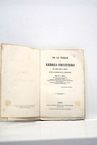 Livre ancien puvis - livre,