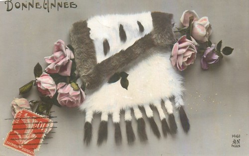 Bonne annee manchon - cp,
