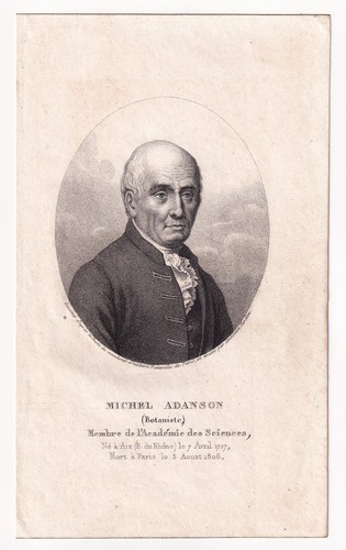 Portrait xixe michel adanson - portrait,