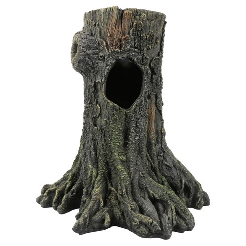 Terre gecko 25x16x25cm - de,