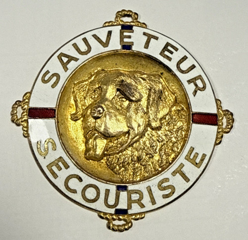Sauveteur secouriste - sauveteur,