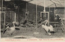 CPA AK Saigon Interieur des