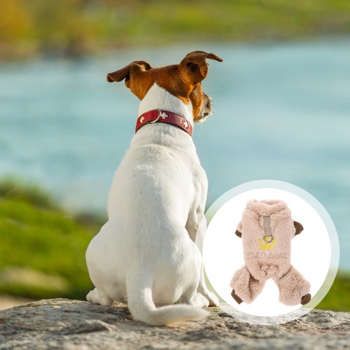 Vêtement chien petite taille - petite,