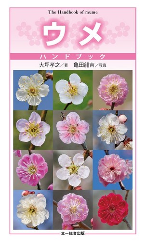 Plum prunus mume - prunus,