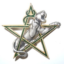 INSIGNE 8° REGIMENT DE