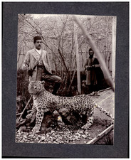 A Qashghayi Tribal Leader