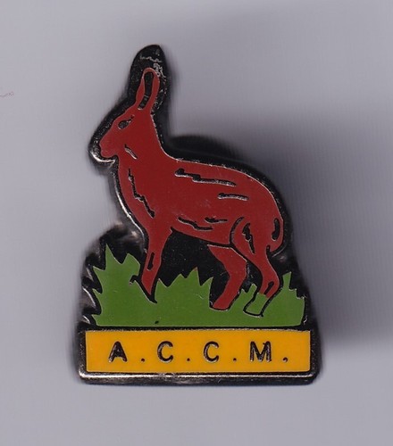 Rare pins pin - .., sport