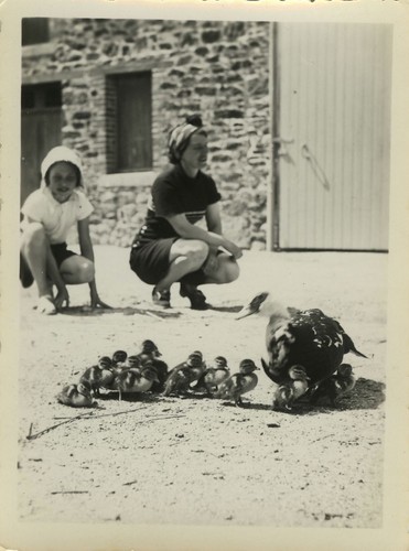 Photo ancienne vintage - photo,
