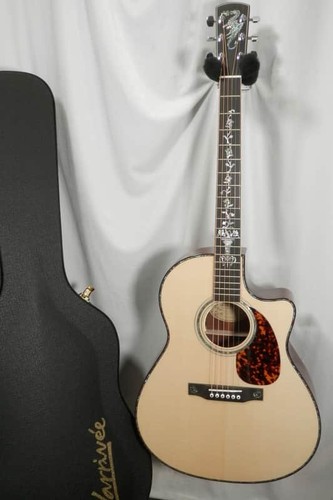 Larrivee custom 10e - larrivee, lv-10e