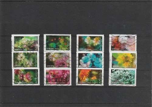 France 2019 eclosion fleurs - 2019,