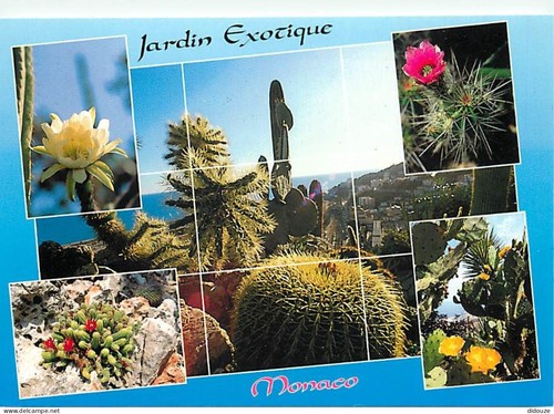 Carte postale fleurs - carte,