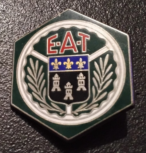 Insigne militaire - insigne, (pin’s)