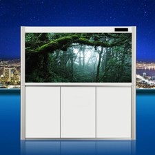 3D Forêt Aquarium Fond Autocollant Auto Adhésif HD Aquarium Paysage