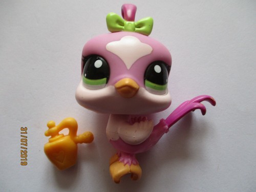 Petshop oiseau geai 2071 - oiseau,