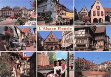 67 SELESTAT SAVEURS ET SOLEIL D AUTOMNE