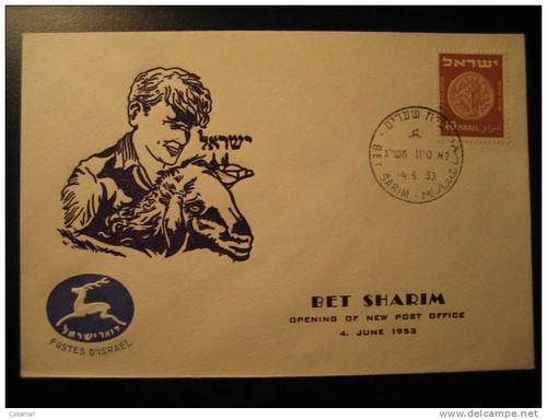 Mouton brebis chèvre chèvres - mouton,