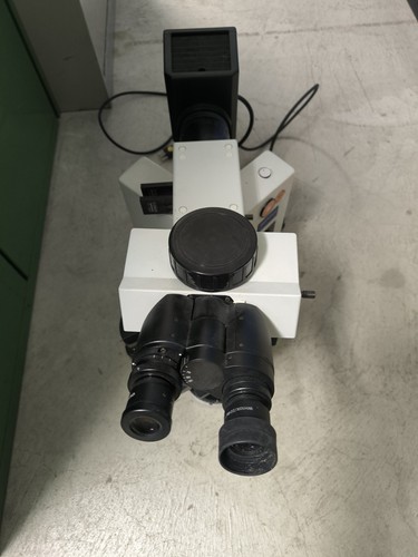 Microscope olympus 51 - microscope,