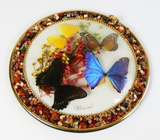 🦋 Taxidermie 4 Papillons Brésil • Cadre Verre Bombé 24 cm • Pierres • RARE