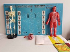 CEJI JEU ÉDUCATIF ANATOMIE