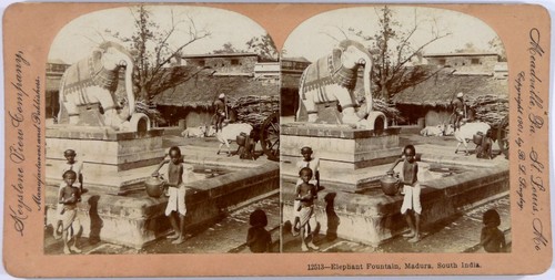 India.Inde.Madura.Elephan