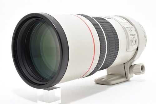 Canon 300mm f4l usm - ef, is