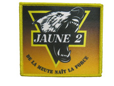 INFANTERIE LE 132° RIC 3°