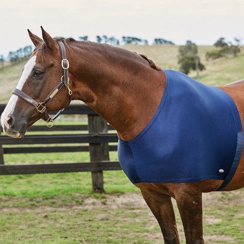 Weatherbeeta stretch shoulder - stretch,