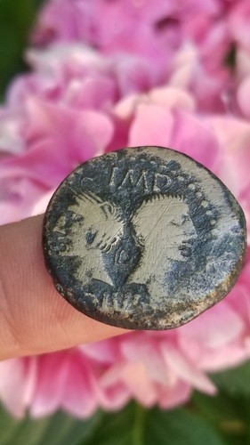Dupondius nîmes - as/dupondius, nîmes-
