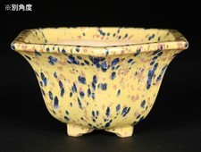 Pot à bonsaï japonais