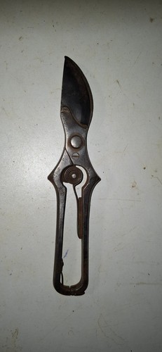 Secateur ancien de - ,