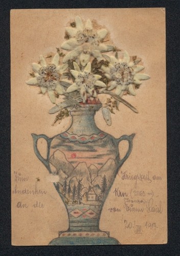 Carte postale fleurs - carte,