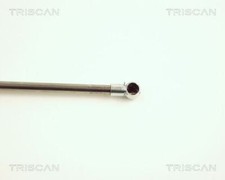 VéRIN DE COFFRE / HAYON