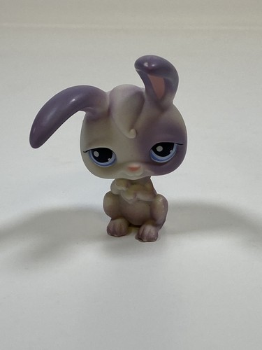 Petshop lapin garenne - -, de