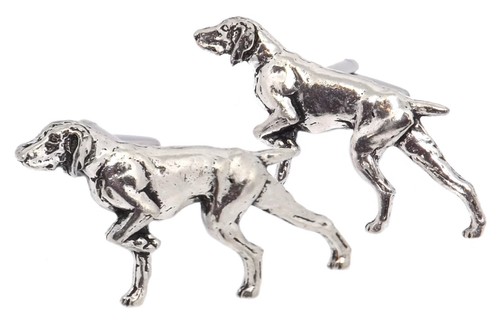 Pointer oiseau chien chasse - pointer,