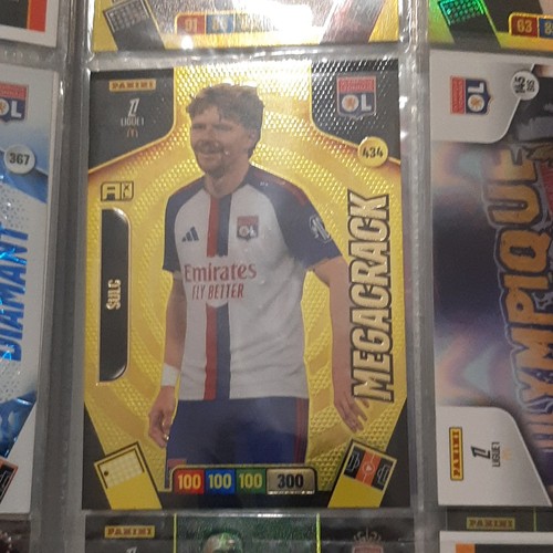 Panini adrenalyn ligue 1 - panini,