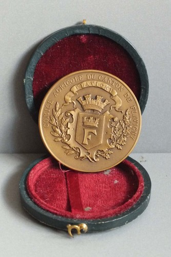 Ancienne medaille bronze - ancienne,
