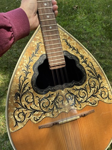 String bowl back bouzouki - 8-string,