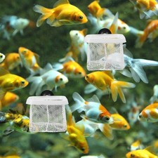  5 Pcs Épuisette Crevette