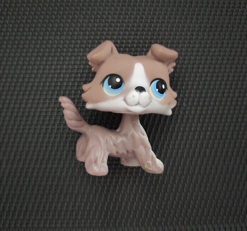 Petshop chien colley - petshop, n°