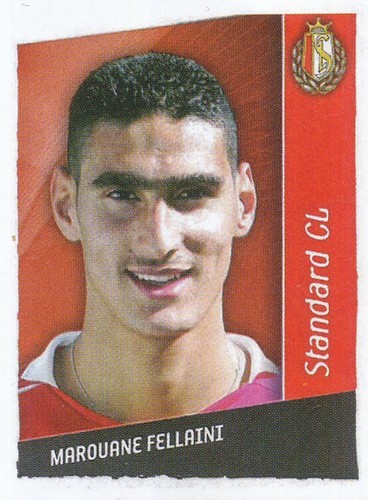 373 marouane fellaini - fellaini, #