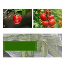 Filet de Jardin Transparent pour L??gumes Arbres Fruitiers et Protection des Fle